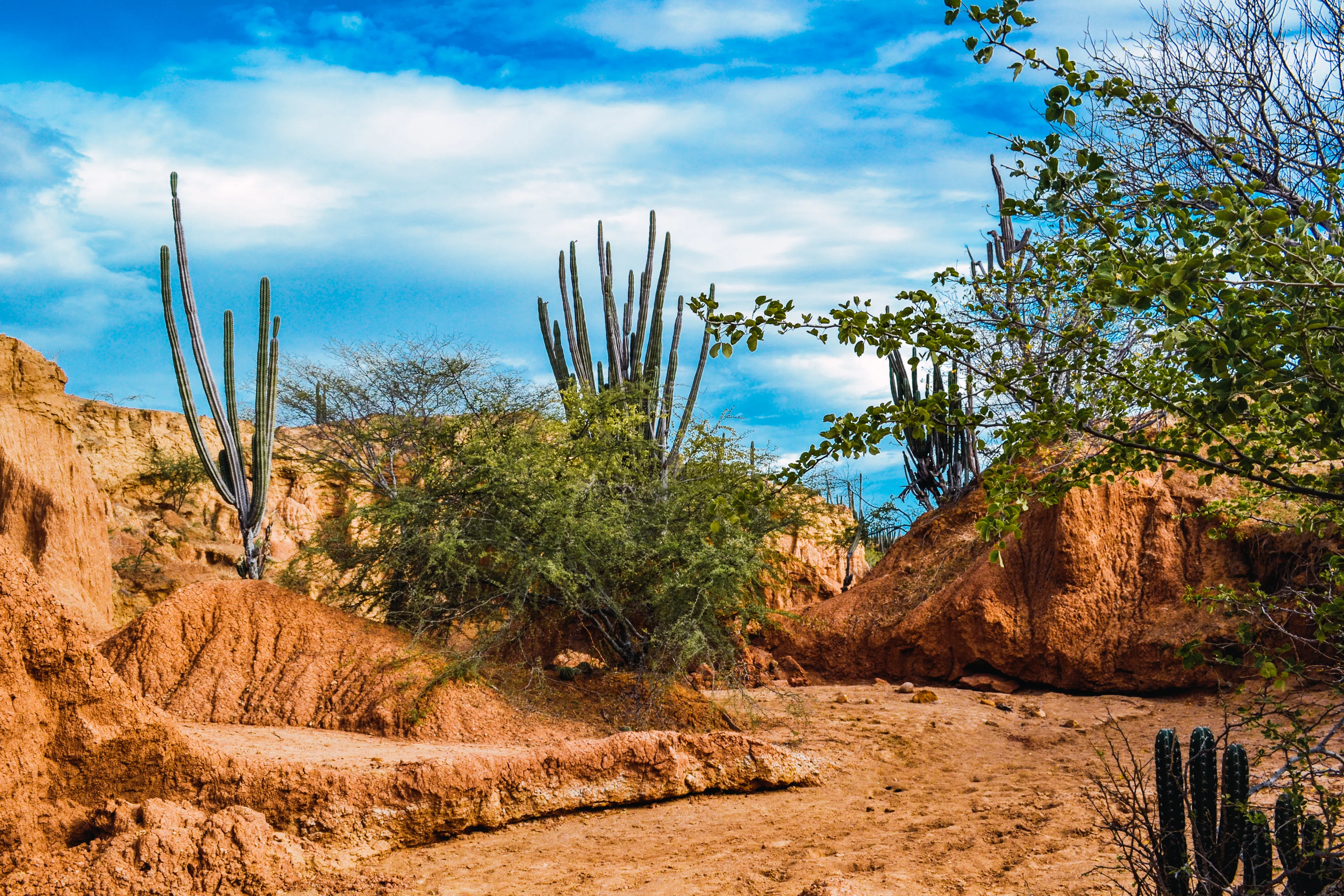Desierto de la Tatacoa Star