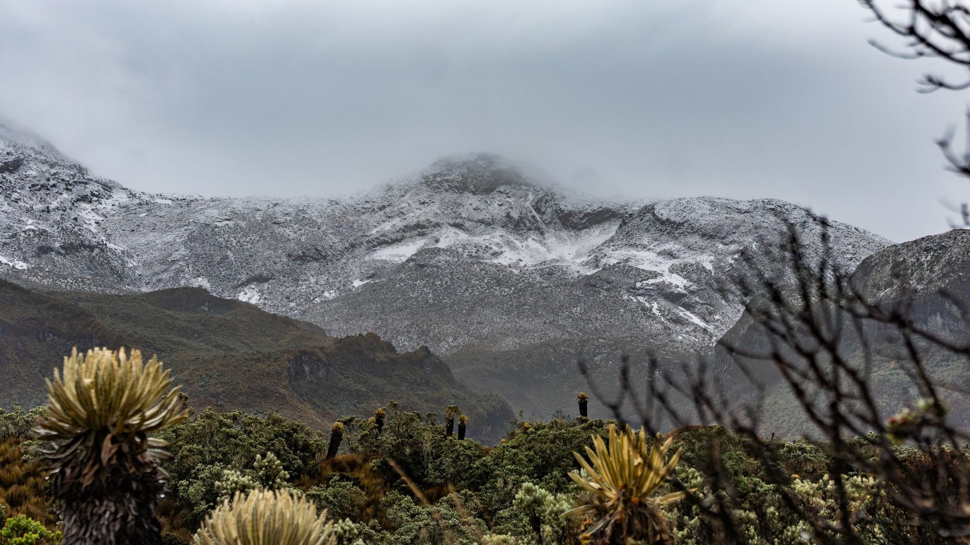 Páramo con nieve en el Parque Nacional Natural Los Nevados